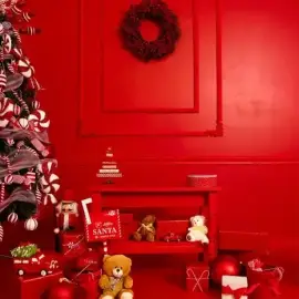 Christmas photo sessions