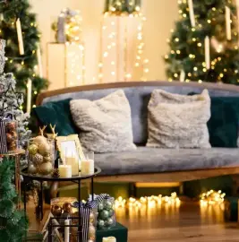 Christmas photo sessions