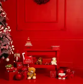 Christmas photo sessions