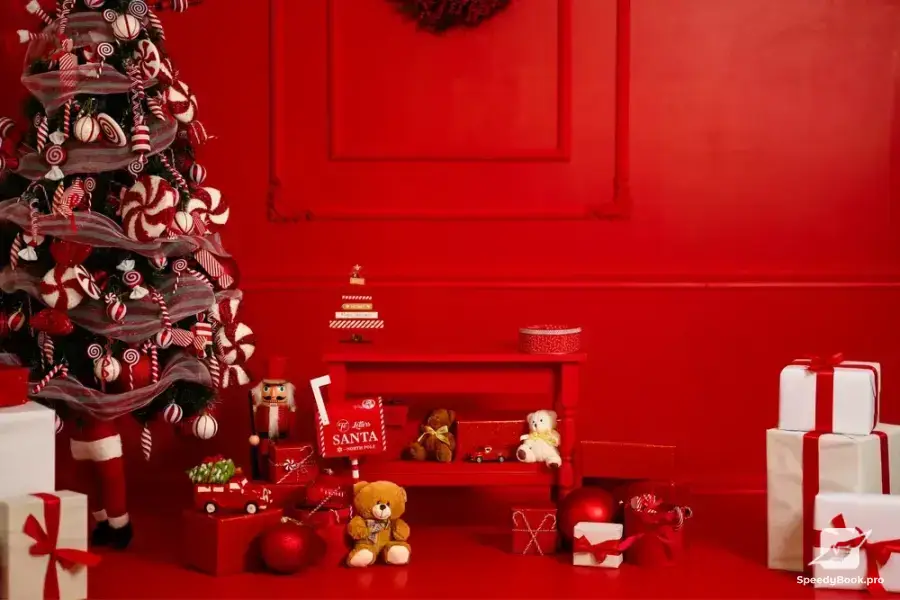 Christmas photo sessions