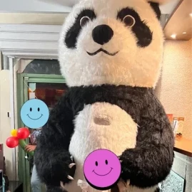 Surprise with a giant polar bear or panda