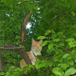 User Thumbnail